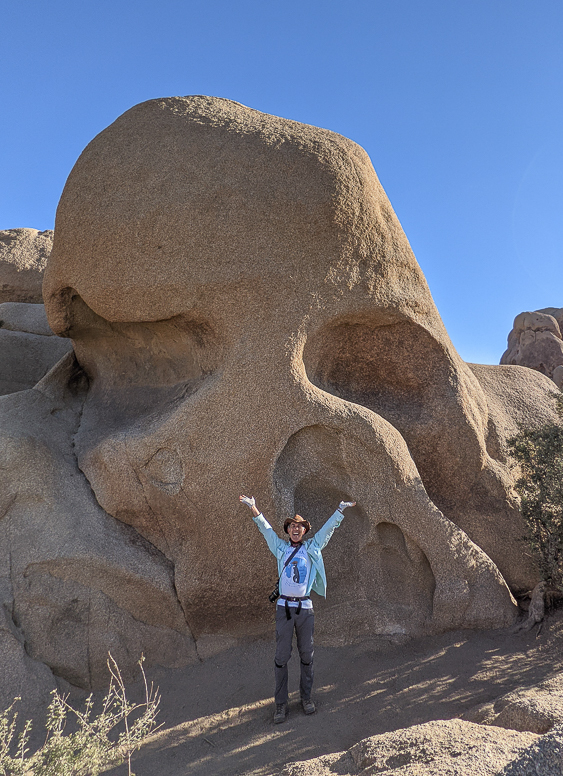 Joshua Tree